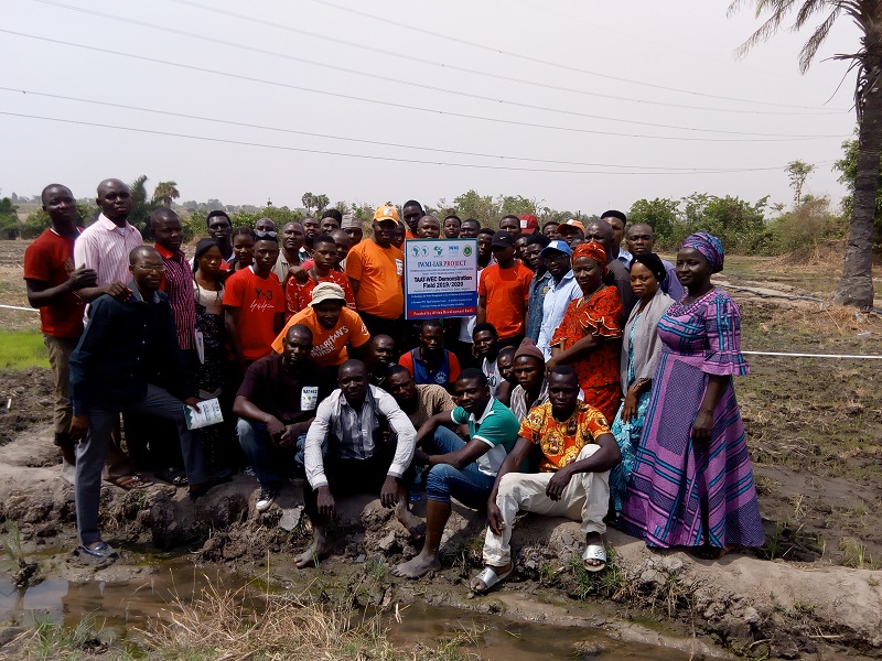 Participants in On-farm training in Azuba (PHOTO: IAR/Henry Igbadun)