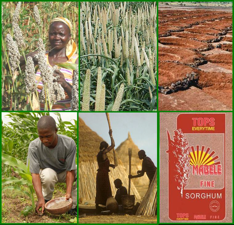 The Compact’s Technology Toolkits TaatAfrica