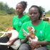 How Youth in Agribusiness is reversing migration in Uganda