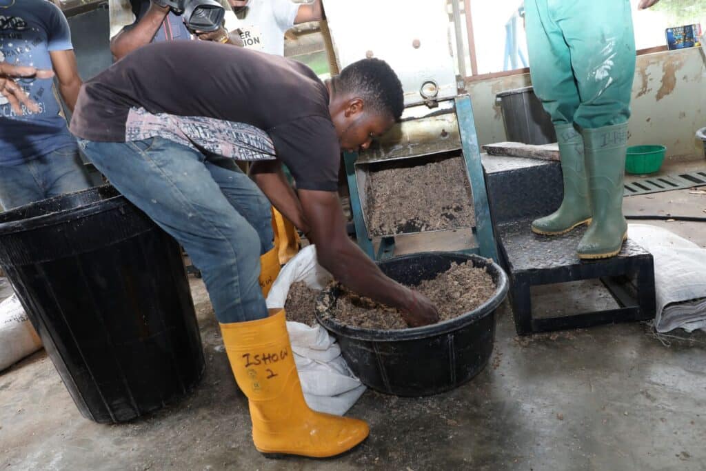 TAAT engages Rwanda on the production of high-quality livestock feed from cassava peels
