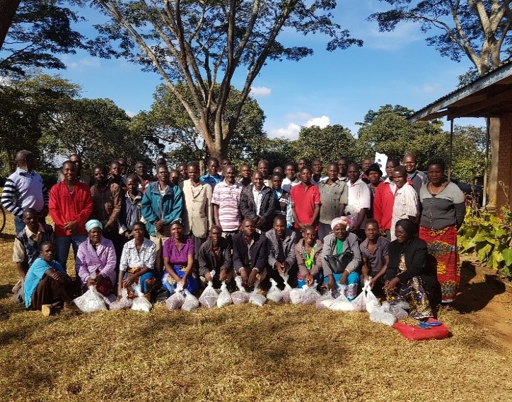 TAAT facilitates access to quality High Iron Bean Seed in Malawi