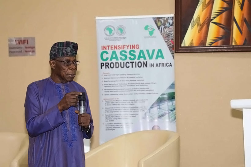 Sustainable cassava seed system is crucial to fighting hunger in Africa – Chief Olusegun Obasanjo
