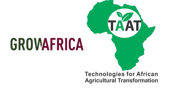 Technology-driven modernisation of African Agriculture: what role for the Private Sector?