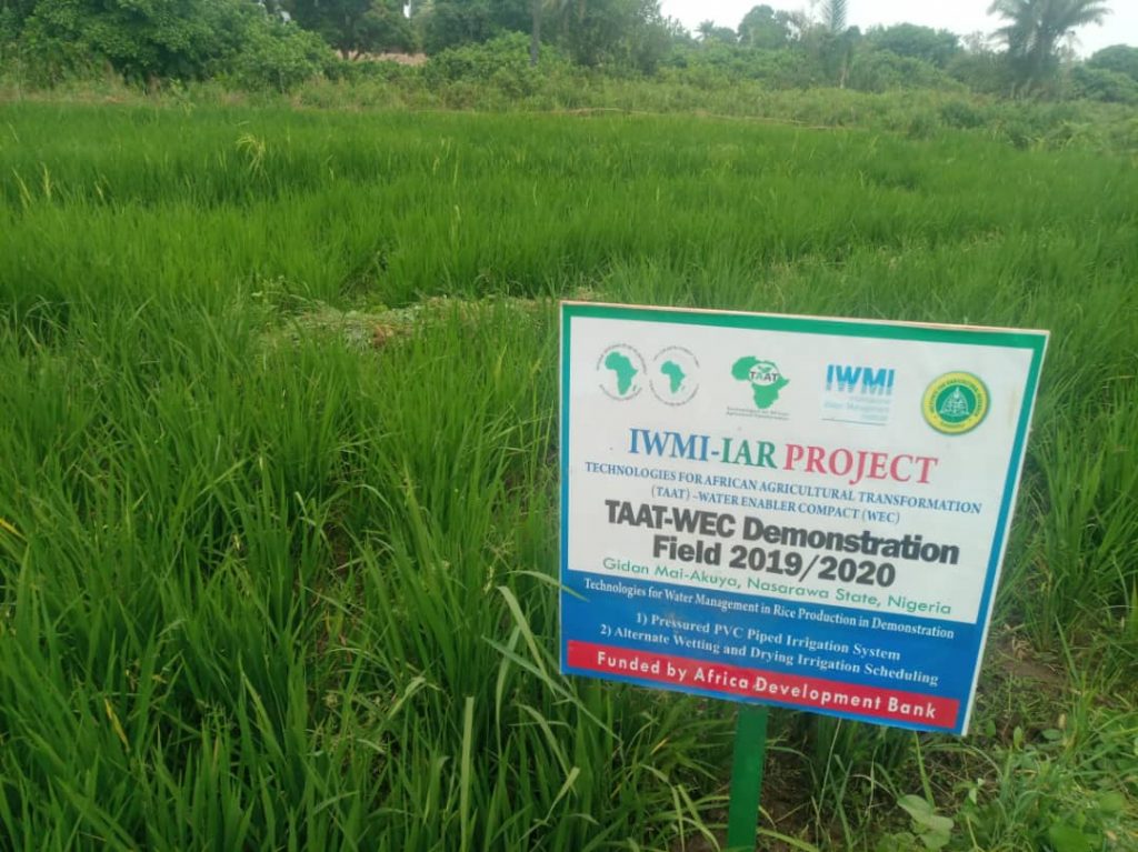 TAAT excites Nigerian Youths with new irrigation technologies for dry season farming
