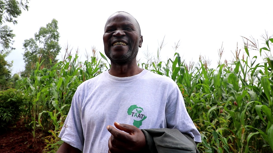 TAAT’s pathway to scale up brings hope to maize farmers in Kenya