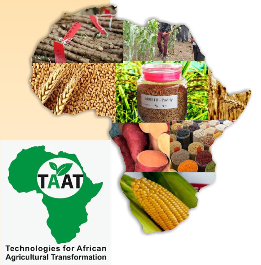Africa commits to double agricultural productivity as partners pledge US$17 billion to increase food security