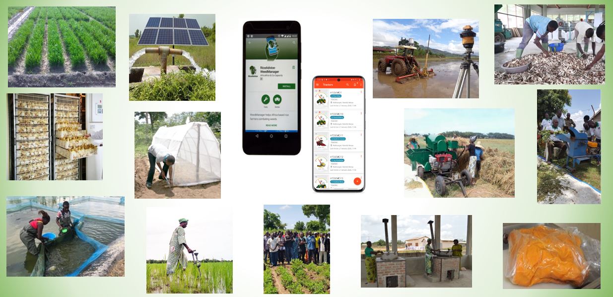 Experts zero in on technology brokerage for food resilience in Africa