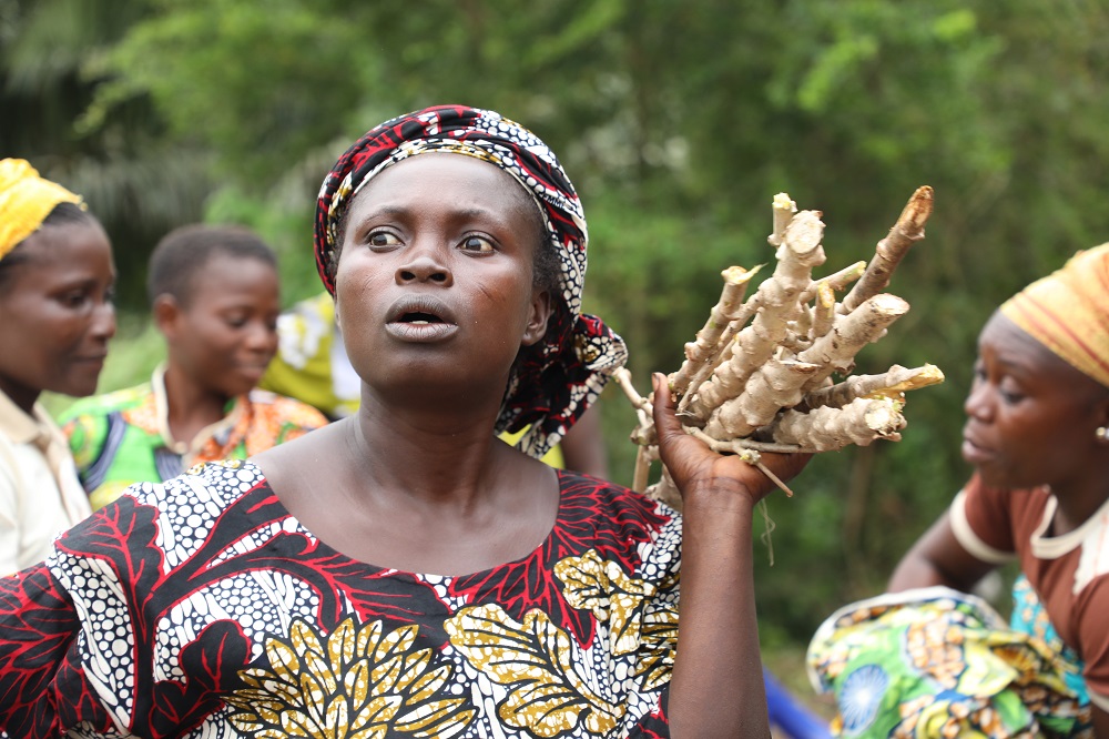 TAAT Excites Beninese Farmers with Pro Vitamin A Cassava Varieties