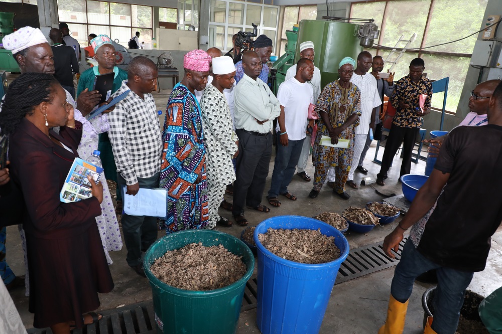 Nigerian government partners TAAT on HQCP for Livestock feeds