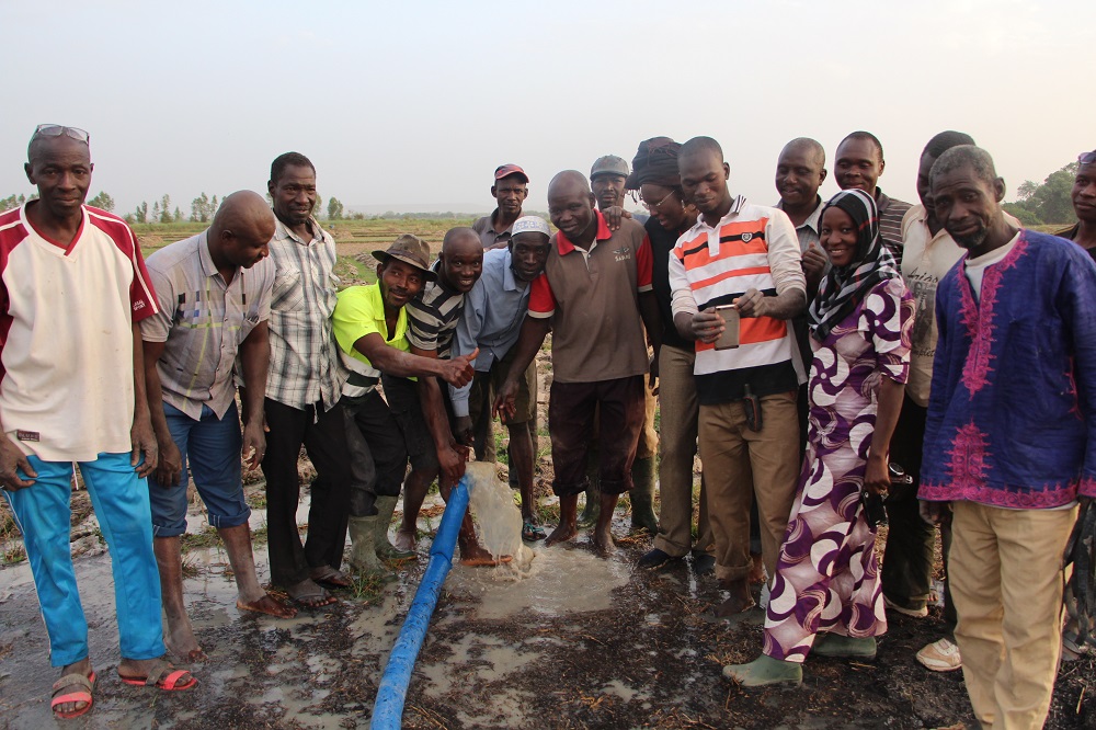 TAAT’s new irrigation technologies intensify rice production in Mali and Burkina Faso