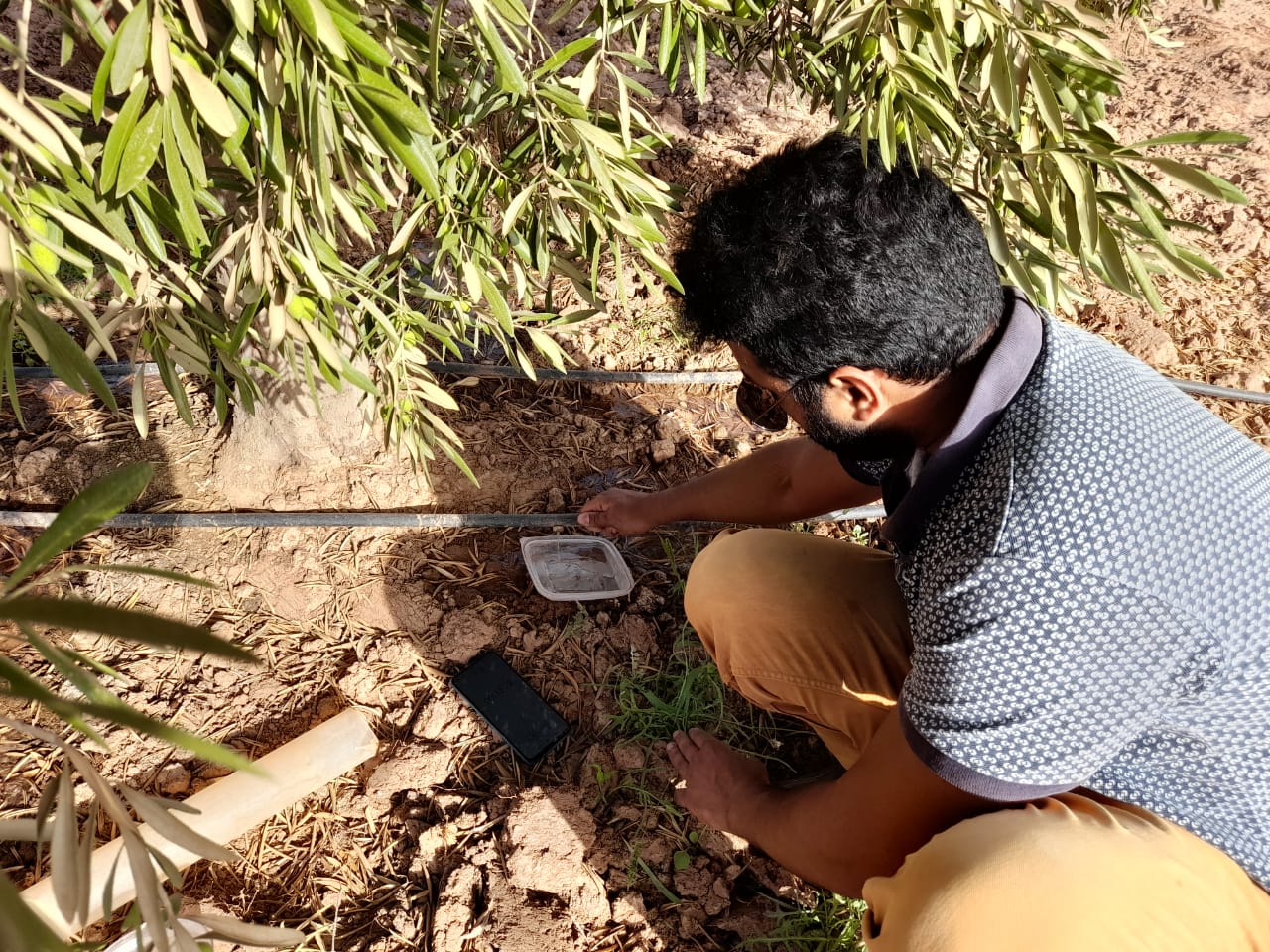 Transforming MENA Agriculture with Digital Solutions: A Step Towards Sustainable Water Management