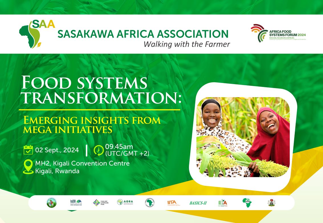 Food Systems Transformation: Emerging Insights from Mega Initiatives