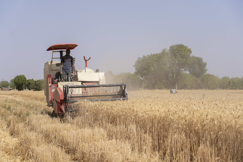 Zimbabwe acknowledges TAAT as it hits 92% Of Wheat Harvest Target