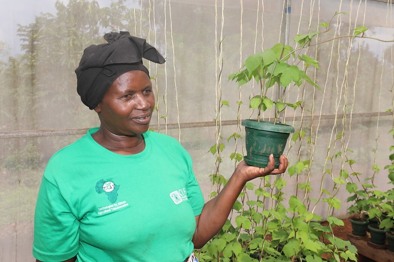 Edith Rehema Namusubo: How A TAAT OFSP champion is Facilitating access to Quality  Planting Materials in Uganda