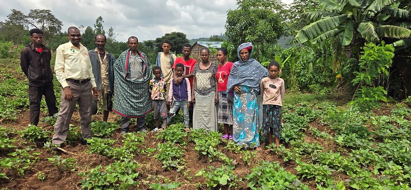 Ethiopia: How TAAT is Transforming Lives through Orange-Fleshed Sweet Potato Varieties