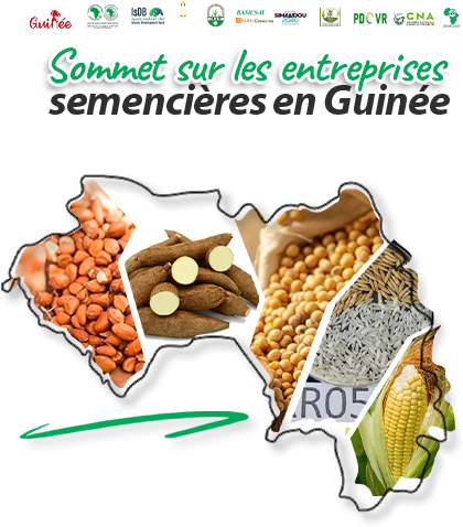 GUINEA: TAAT and Partners convene stakeholders for a seed roadmap