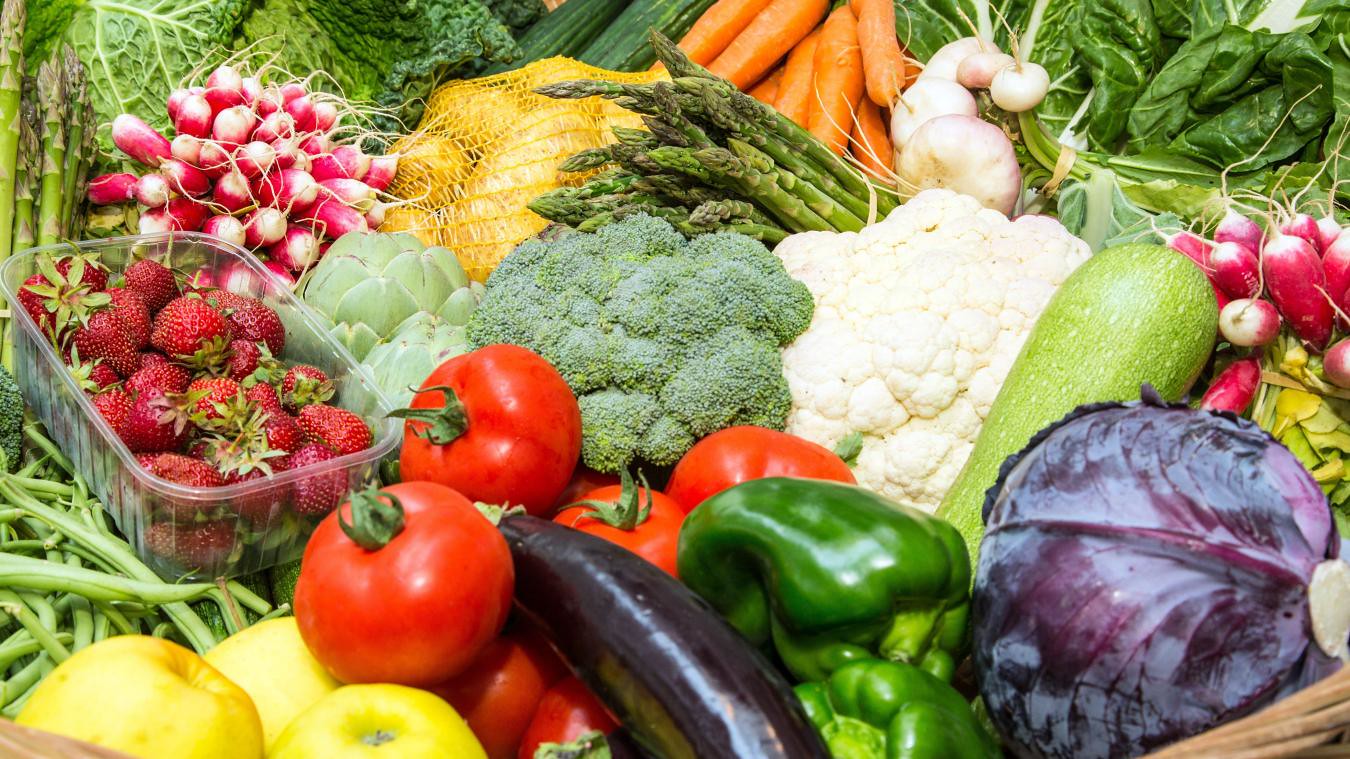 Guinea-Bissau: TAAT holds TOT Workshop on Vegetable Seed Production