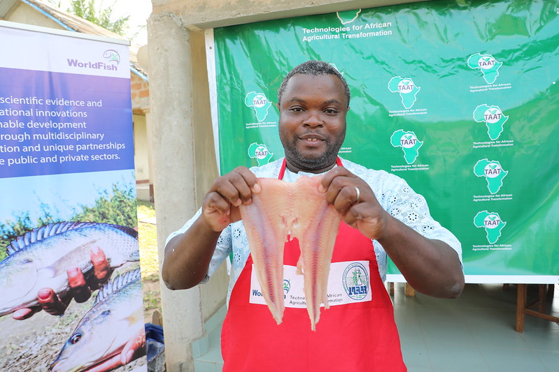 Bénin: TAAT to facilitate the competitiveness of the Fisheries value chain