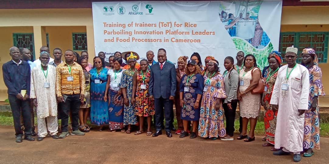 CAMEROON: TAAT targets self-sufficiency in Rice