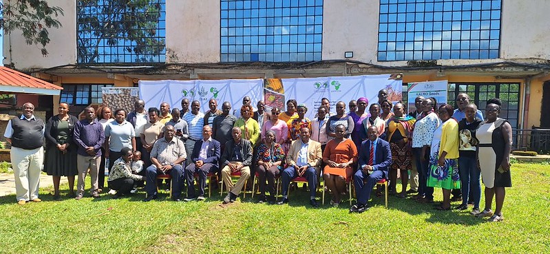 Kenya: TAAT holds ToT Workshop on Soybean Agronomy, Seed Production and Entrepreneurship