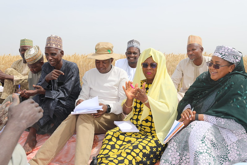 TAAT holds Wheat Field Days across Nigeria