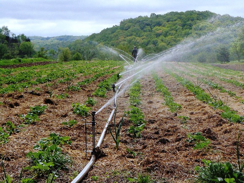 TAAT Renews commitment to transforming irrigation in Africa