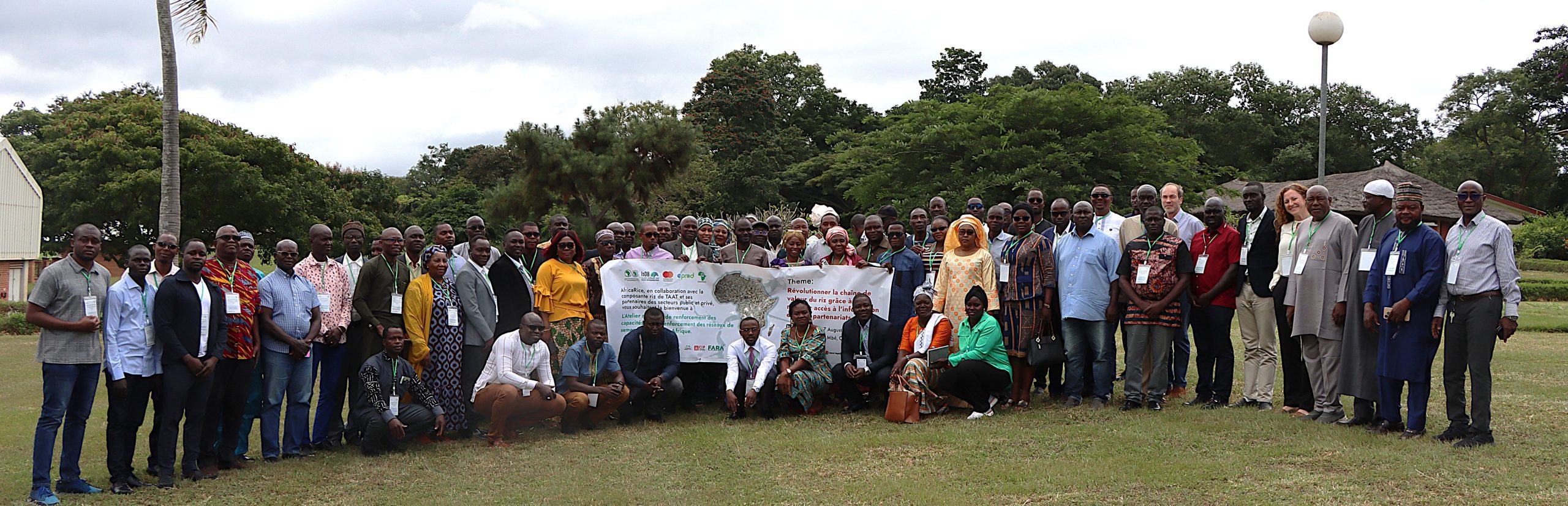 TAAT, AfricaRice and Partners eye Rice Value Chain Revolution across Africa