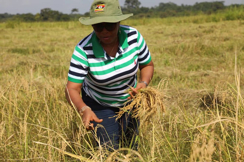 TAAT, CGIAR, and GCA stocktake on Partnership to Scale Climate Adaptation Innovations