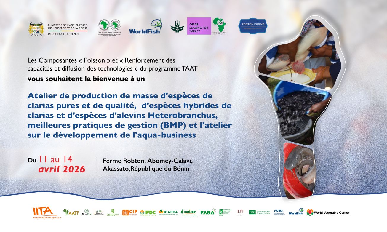TAAT hosts ToT Workshop on Catfish Seed Production in Benin
