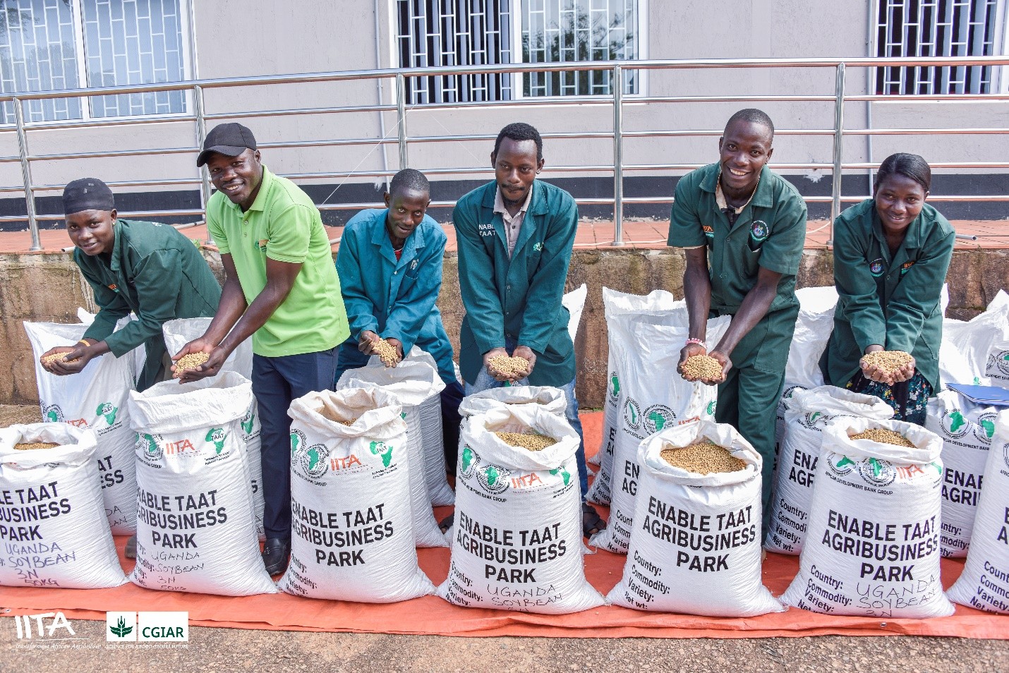 Uganda: TAAT Empowers Youth Agripreneurs to Boost Soybean Productivity