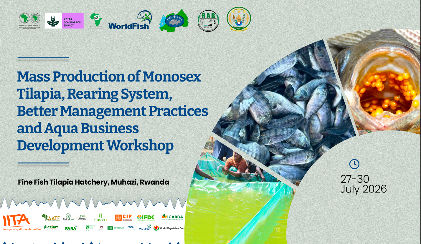 Rwanda: Workshop on Tilapia Production, BMPs & Business Development