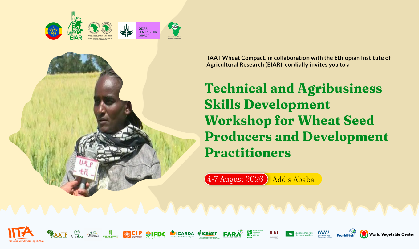 Ethiopia: Technical and Agribusiness Workshop for Wheat Seed Production