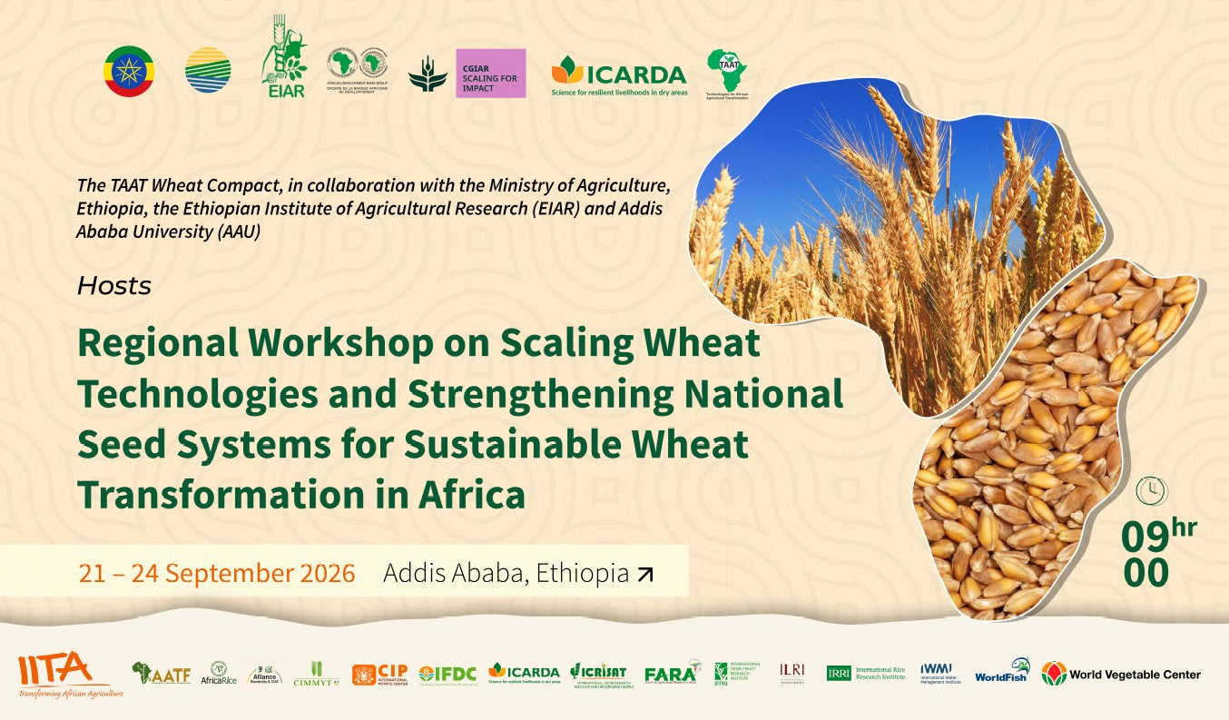 Regional Workshop on Scaling Wheat Technologies and Strengthening National Seed Systems for Sustainable Wheat Transformation in Africa